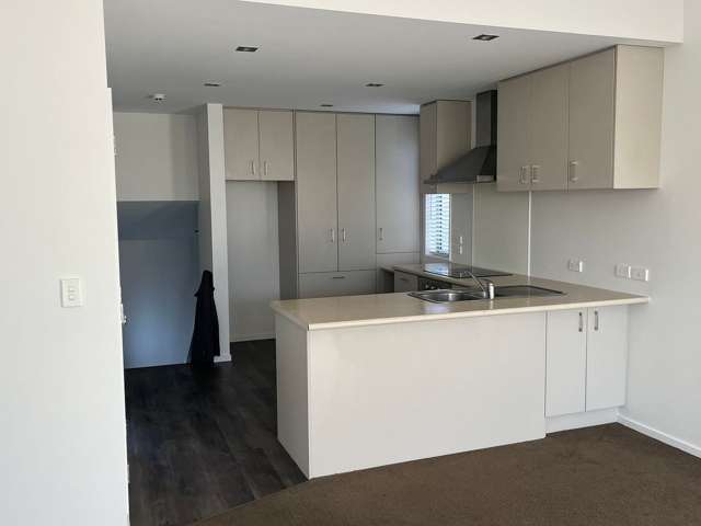 9E Hastings Street West Sydenham_2