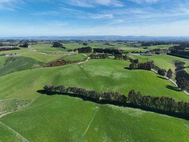 Hillend Road and Falla Burn Road Hillend_4