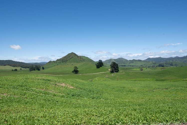 313 Te Wera Road Matawai_11