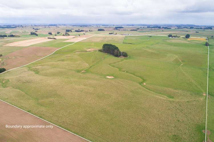 63b Sligo Terrace Roslyn_11