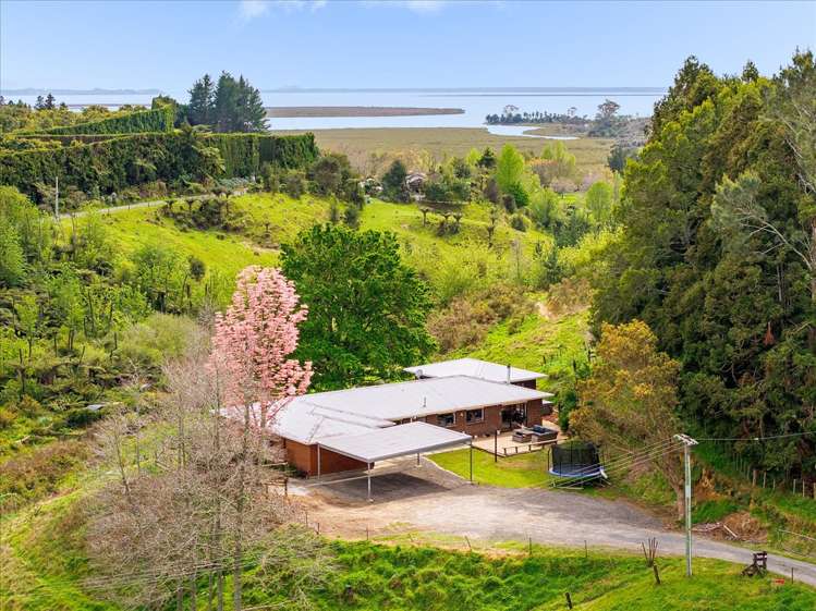 1538 State Highway 2 Whakamarama_3