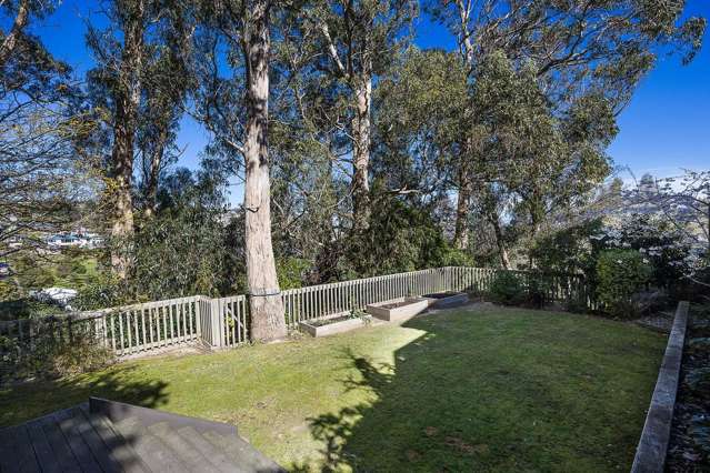 7 Belford Street Waverley_2