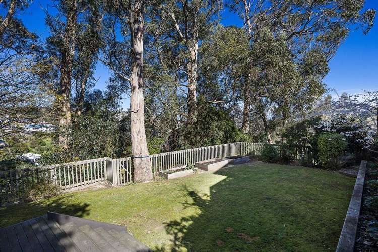 7 Belford Street Waverley_2
