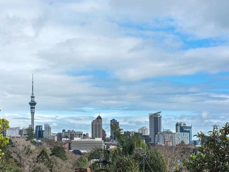 3 Birdwood Crescent Parnell_7