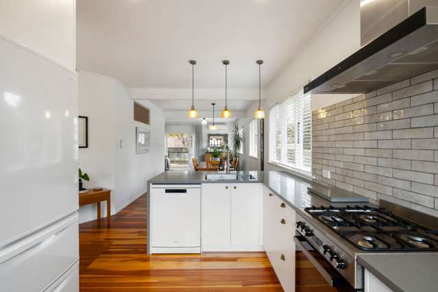 48 Nixon Street Hamilton East_4