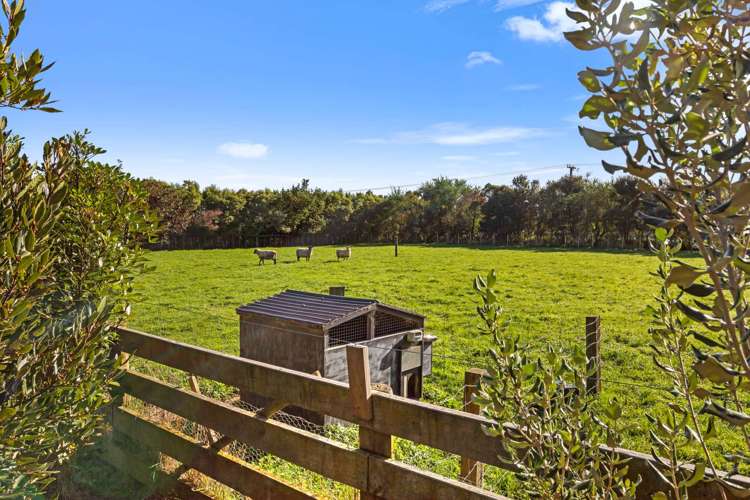 468 Tararua Road_3