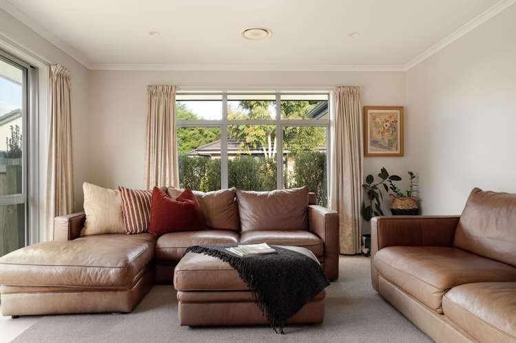 3 Himalayan Close_1