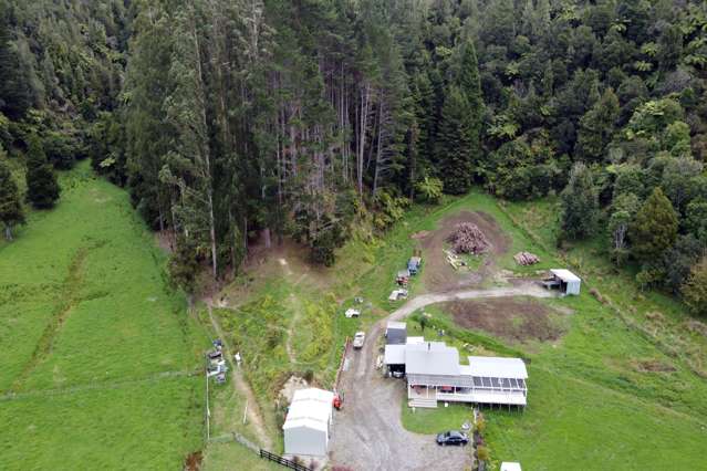 170 Uruti Road Uruti_3