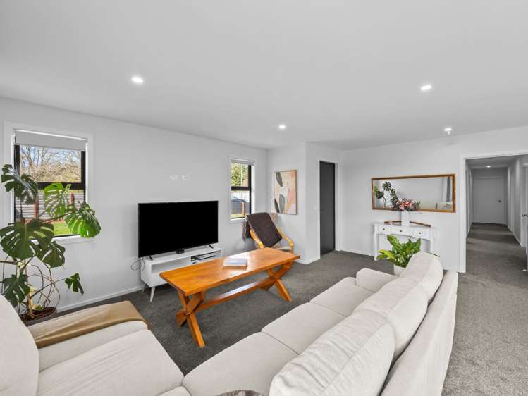 20 David Street Hinds_7