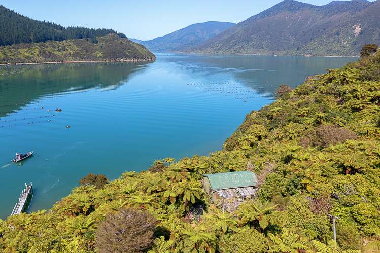 Nikau Bay Kenepuru Sound_20