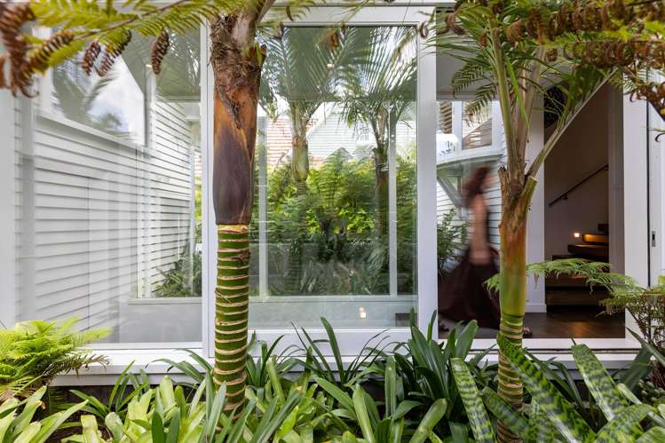 24 Martin Avenue Remuera_23