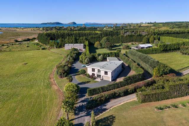 25D Crosby Lane Katikati_2