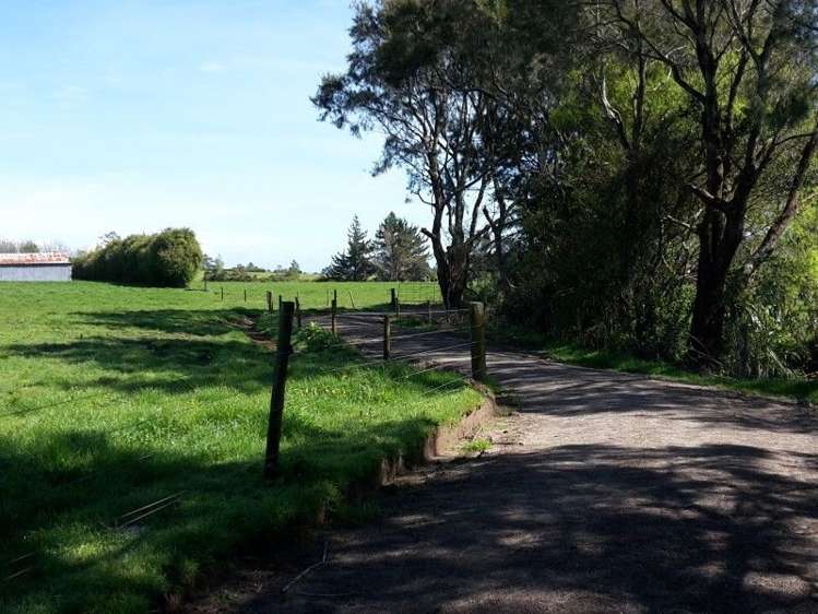 346 Rugby Road Tariki_72