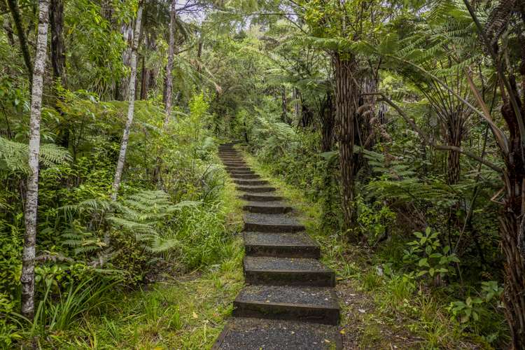 586 Tapu Coroglen Road Coromandel Forest Park_13