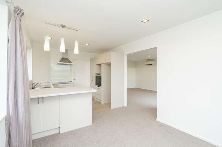 59 Nelson Street Georgetown_6