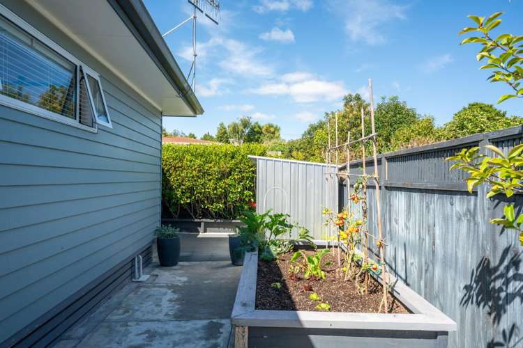 18B Karamu Street Central_21