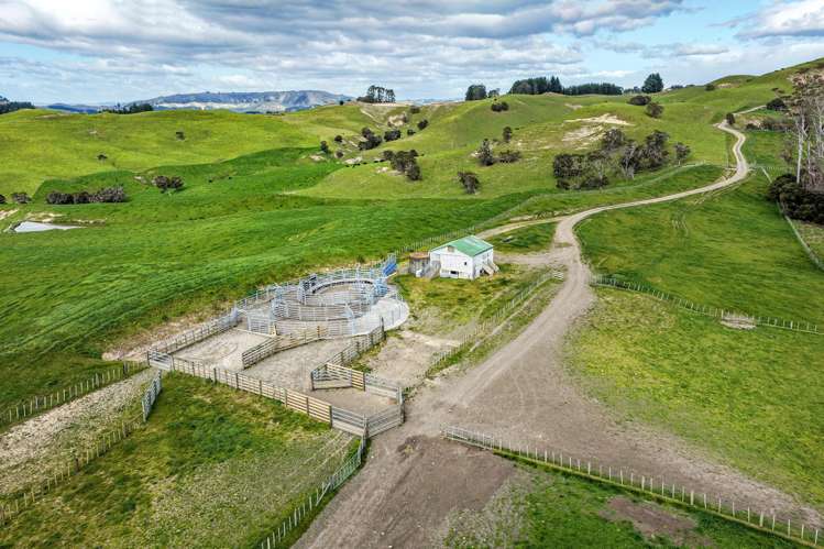 2152 Puketitiri Road Central Hawkes Bay Coastal_10