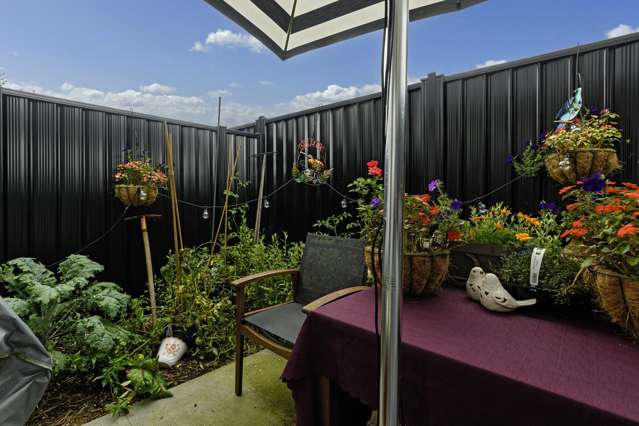 18/1460 Cameron Road Greerton_1