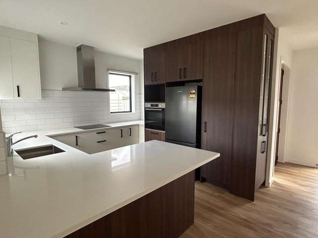 71 Auckland Road Greenmeadows_2