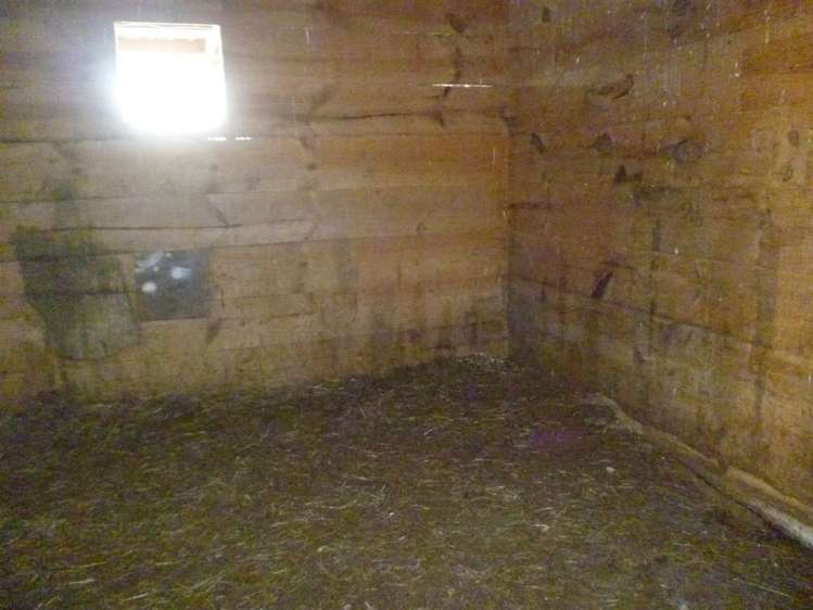 1375 Mcclure Street Pirongia_12