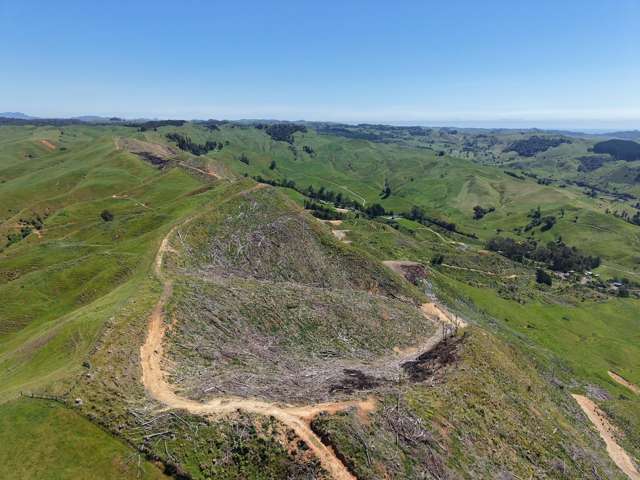 Lot 4 Brown Road Kawhia_4