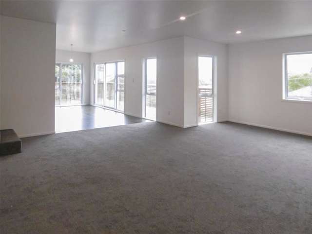 41a Durham Street Picton_4