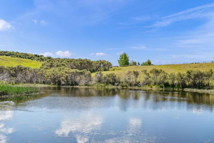 77 Daroux Drive Kerikeri_5