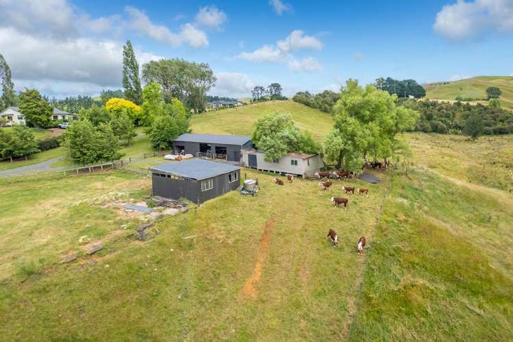 998 Limeworks Loop Road Karamu_34