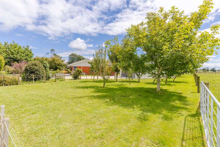 1785 Te Rahu Road Te Awamutu_22