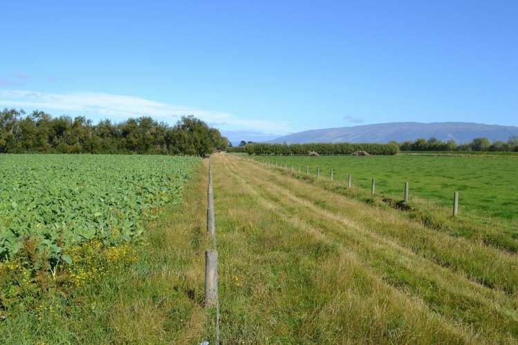 230 Bush Road Mosgiel_10