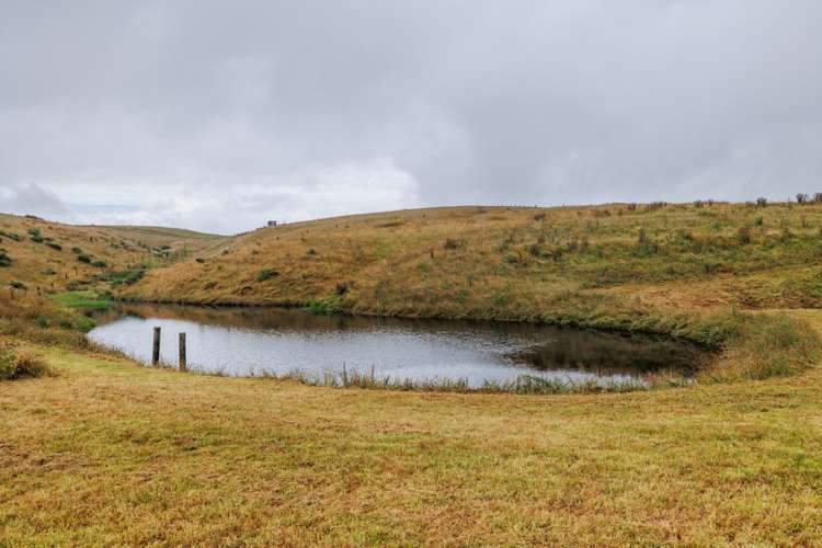 790 Pungaere Road Kerikeri Surrounds_27