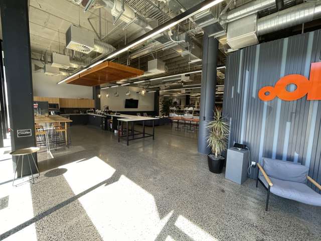 22 Pollen Street Grey Lynn_1