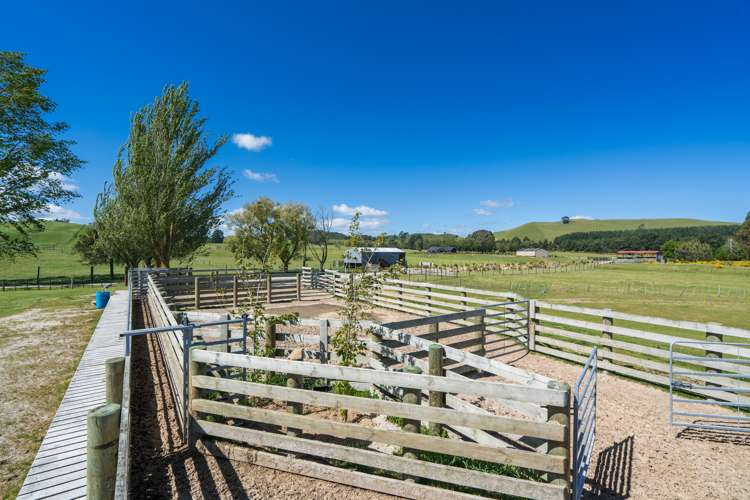 658 Tukairangi Road Kinloch_9