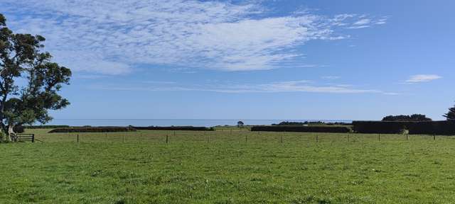 Lot 2/130a Paora Road Warea_2