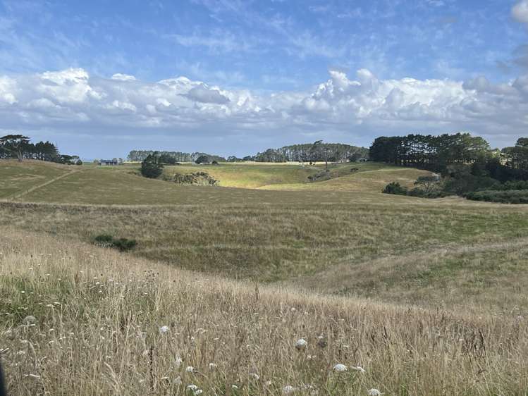 2678 Awhitu Road Awhitu_11