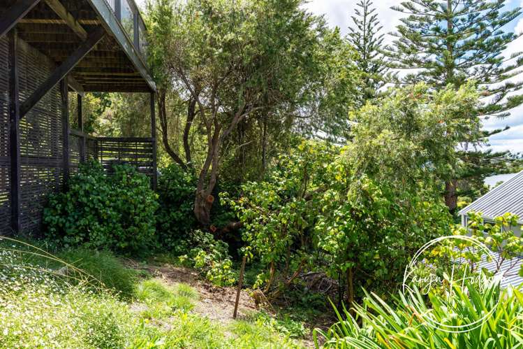 14 Cliff Street Pahi_35