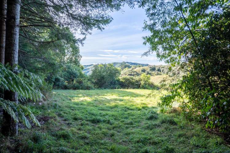 358 Kuku East Road_5