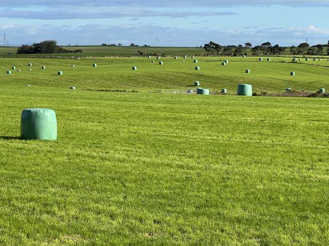 165 Orr Road Waimatua_3