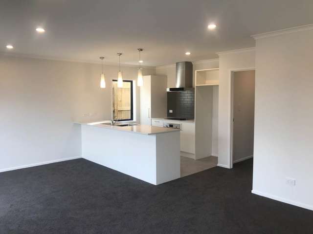 61 Koropupu Street Pukekohe_3