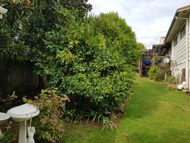 113 Reservoir Street Putaruru_23