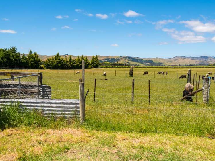 249 New Renwick Road Burleigh_15