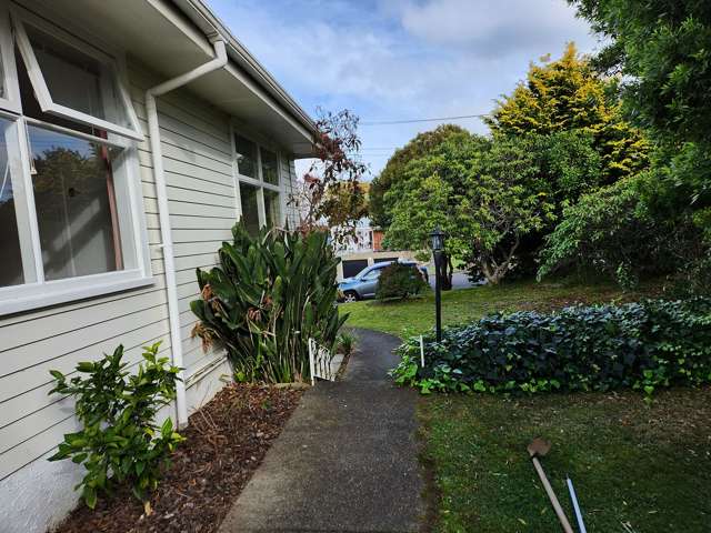 29 Highbury Drive Levin_1