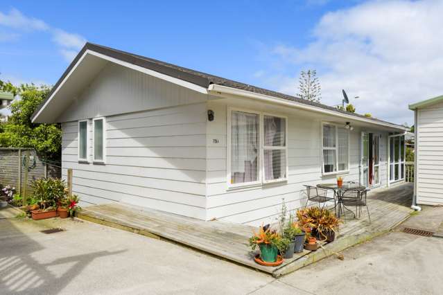 75b Atkin Avenue Mission Bay_1