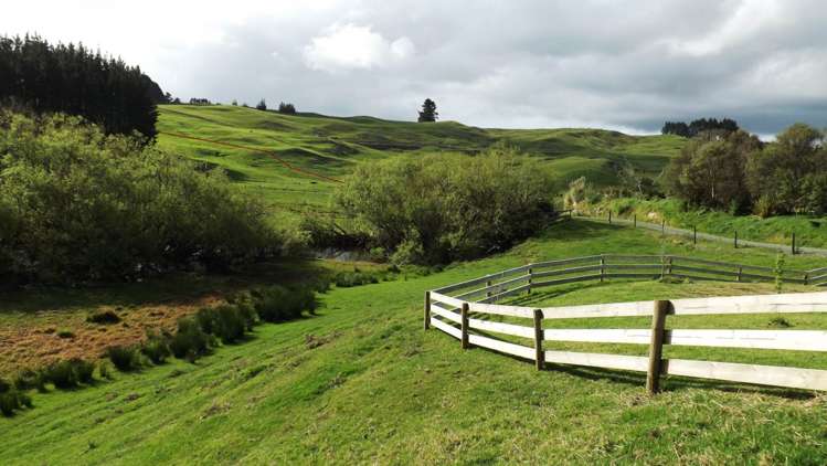 232 Tavinor Road Otaika_18