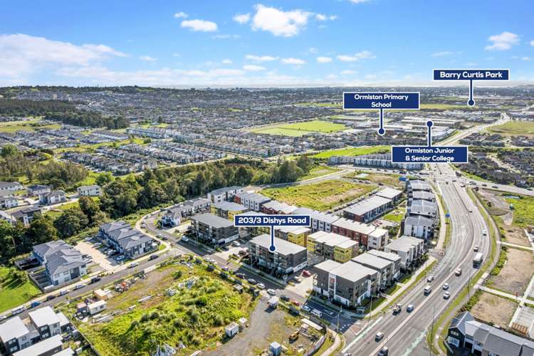 203/3 Dishys Road Flat Bush_10