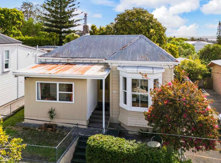 151 John Street Ponsonby_15