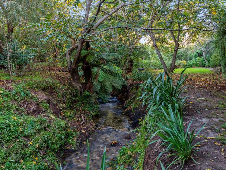 299b Whakamarama Road Whakamarama_9