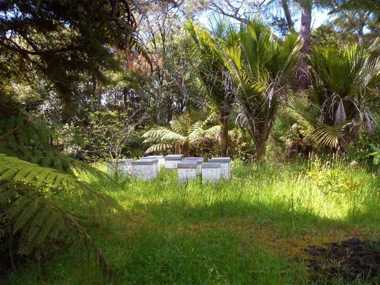 27 Omatai Road Peria_12