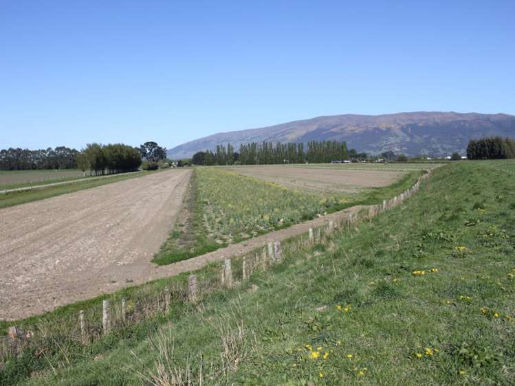 498 Allanton Road Outram_7