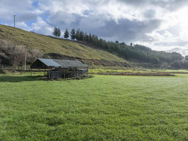 Pirau Road Fernhill_7